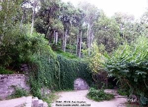 Pekin Jingshan 66